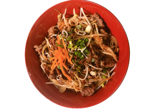 Beef Rice Bowl (Japanese style )